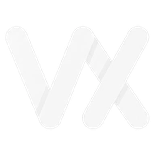 Wisvox Logo